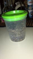 Kale Seed in Container for Storage